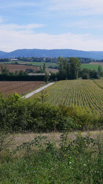 Saint-Affrique-les-Montagnes La Maison D'En Face 빌라 객실 사진